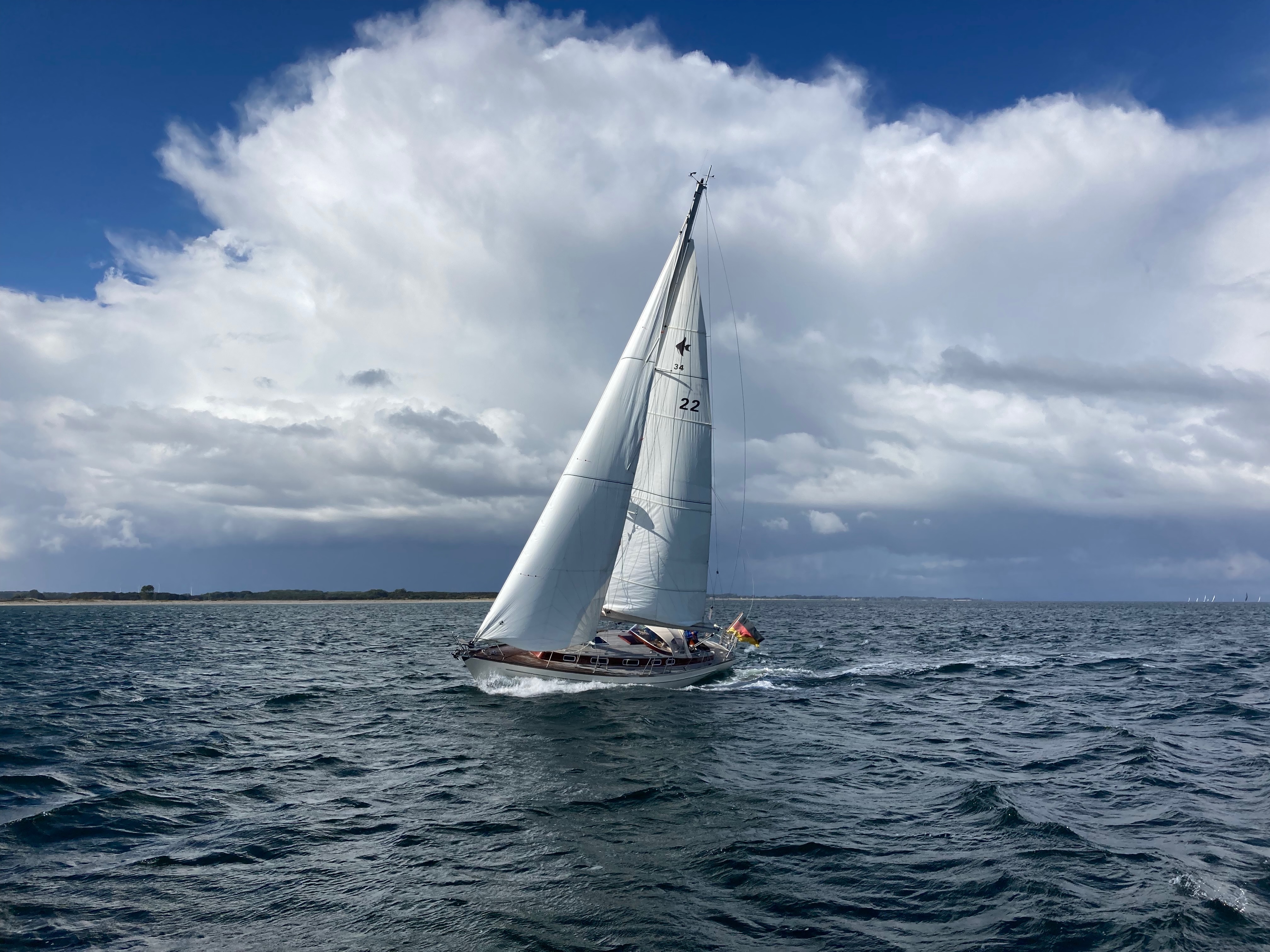 SY Patience in voller Ansicht